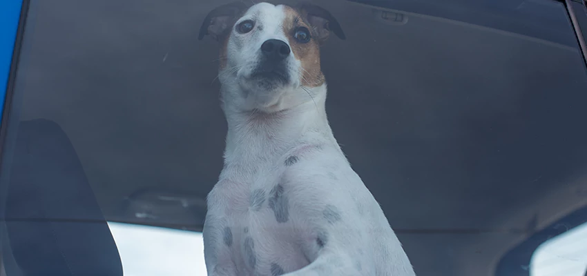 Car Lockout Solutions in Madera Acres, California